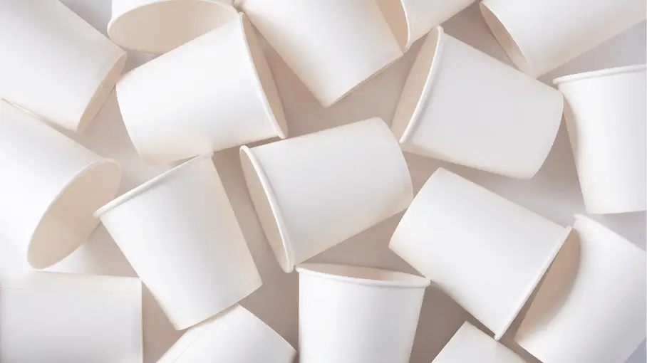 Vasos de papel carton desechable